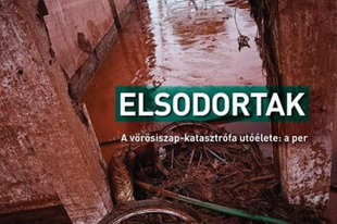 Dr. Sándor Zsuzsa: Elsodortak   (A vörösiszap-katasztrófa utóélete: a per)