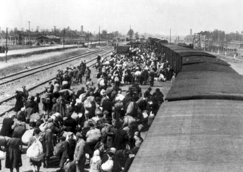 auschwitz_album-hungarian_transport.GIF