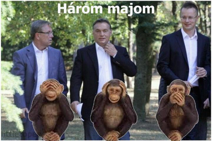 harom_majom_ahumor_network_hu.jpg