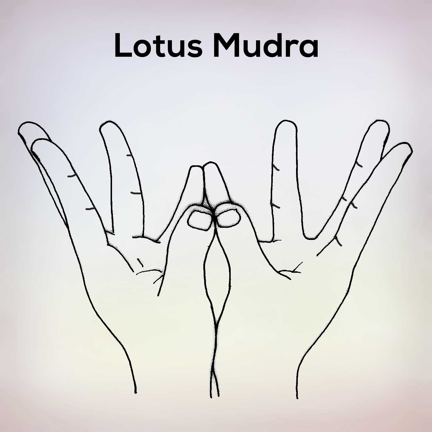 lotus-mudra.jpg