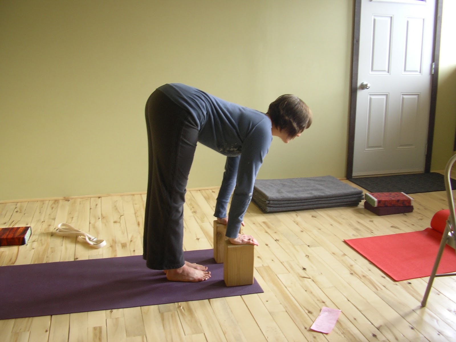 ardha uttanasana with blocks.JPG