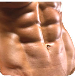 six-pack-abs.jpg