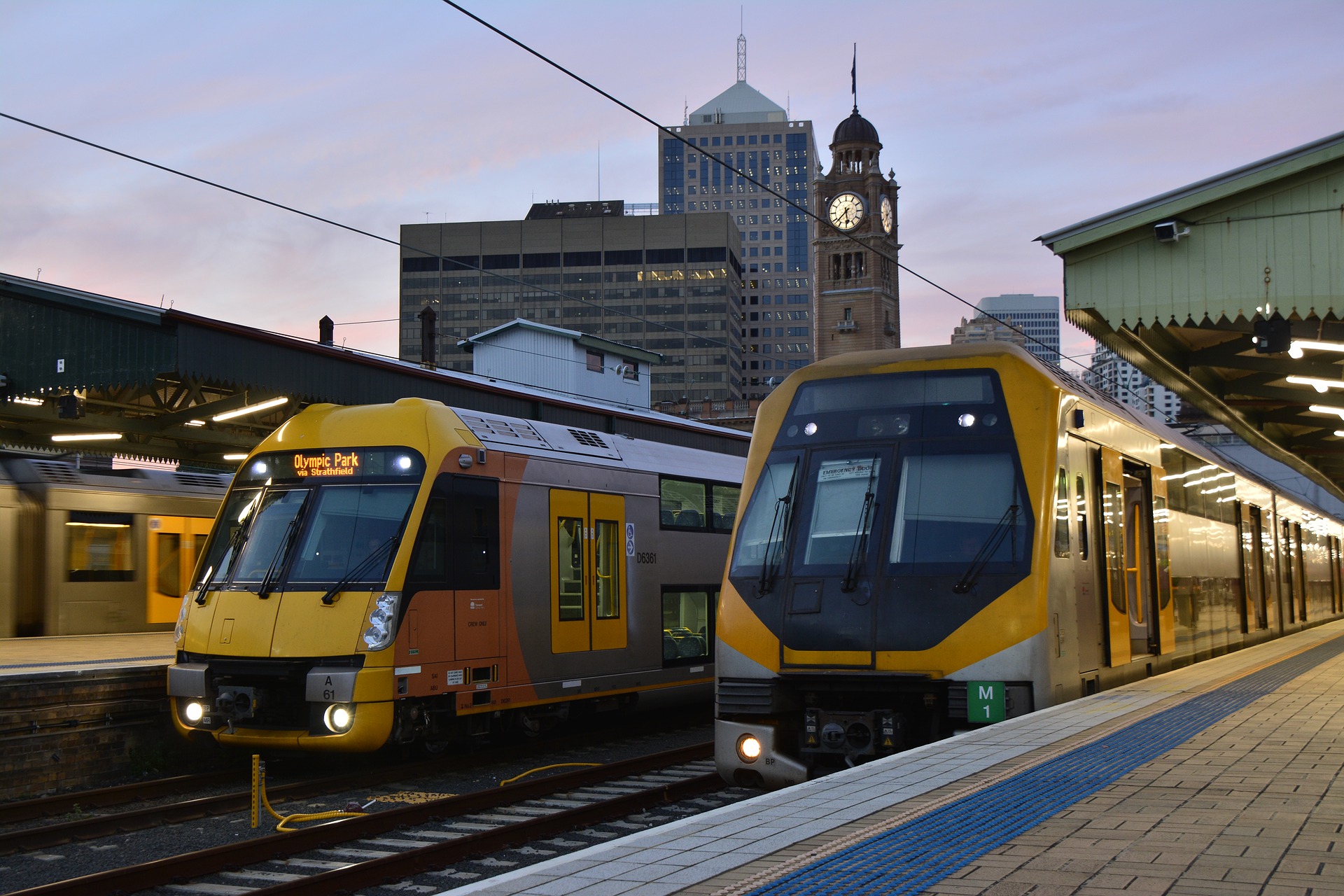 sydney-2680838_1920.jpg