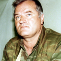 (Elvileg) elfogták Ratko Mladicsot!