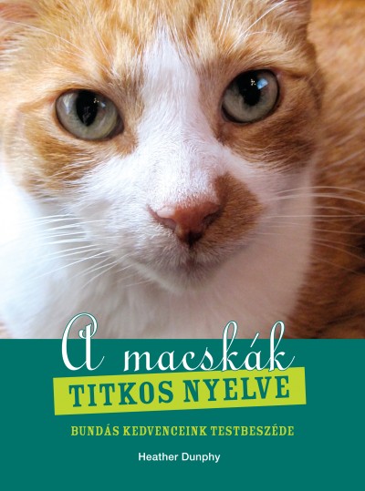 a_macskak_titkos_nyelve.jpg