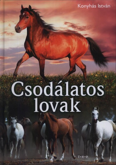 csodalatos_lovak.jpg