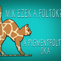 Mik ezek a foltok?