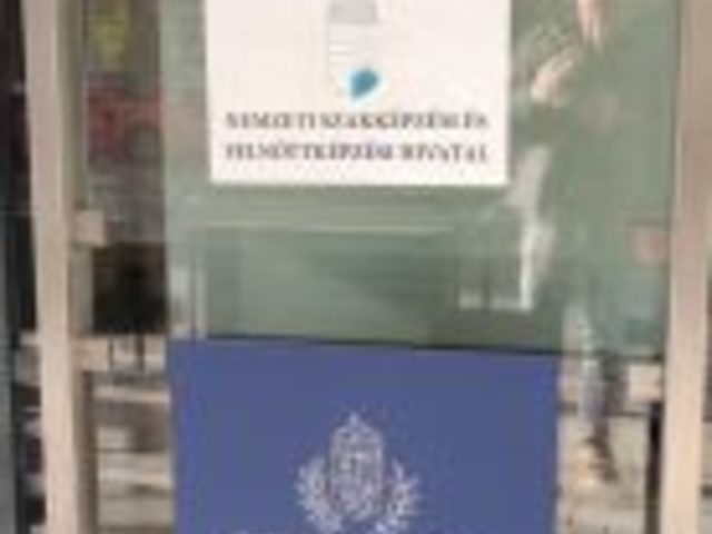 Semmelweis Egyetem dekoráció