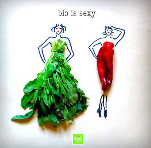 bio_is_sexy_sm.png