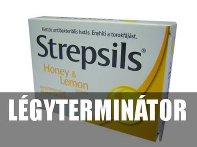 A Légyterminátor nyomában