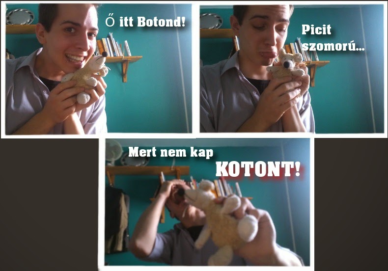 h_Botond.JPG