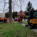 Elkezdődött a járdafelújítás a Károlyi Antal utcában