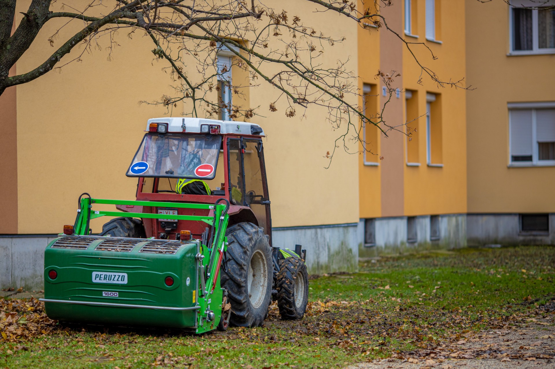 lombtakaritas_szompark_szombathely_bz_2859.jpg