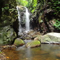 Lamington Nemzeti Park