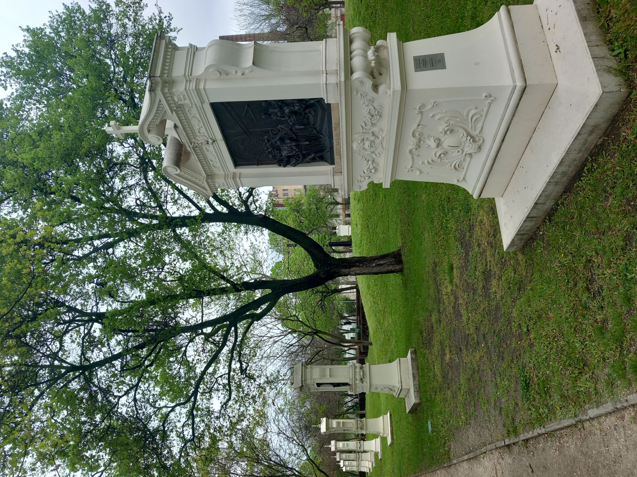 20250418_104942.jpg