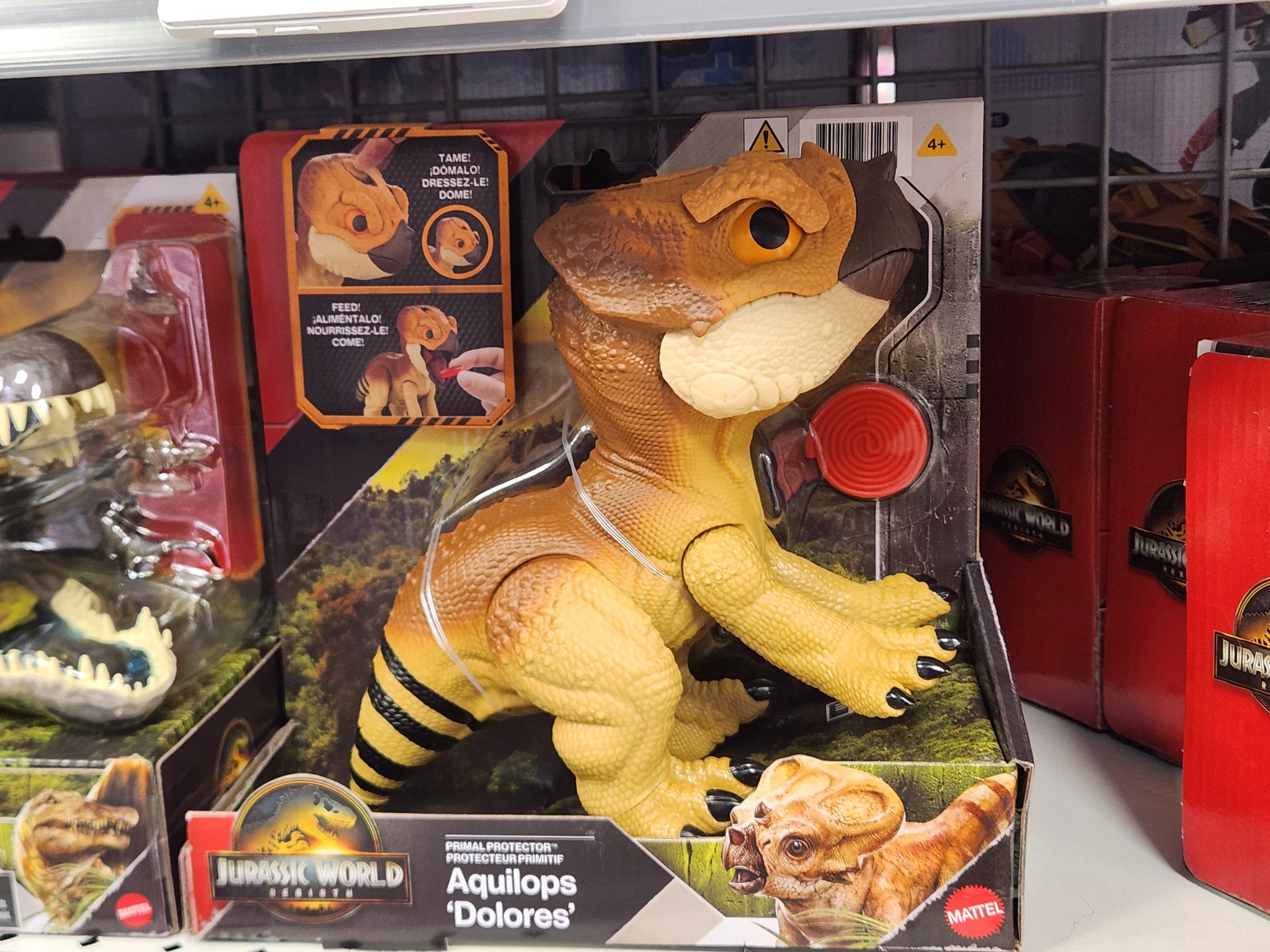 aquilops-kor.jpg