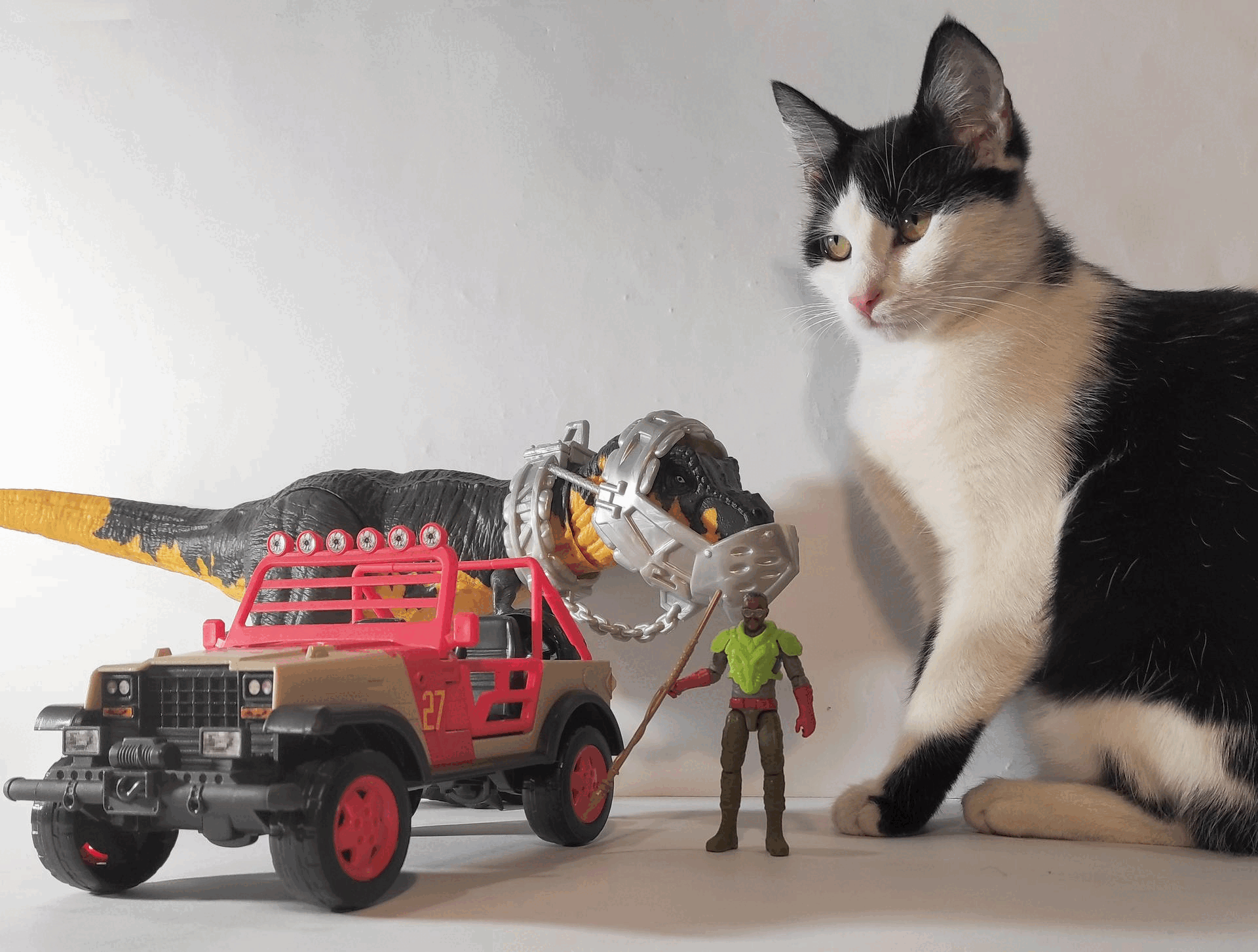 catzilla1.gif