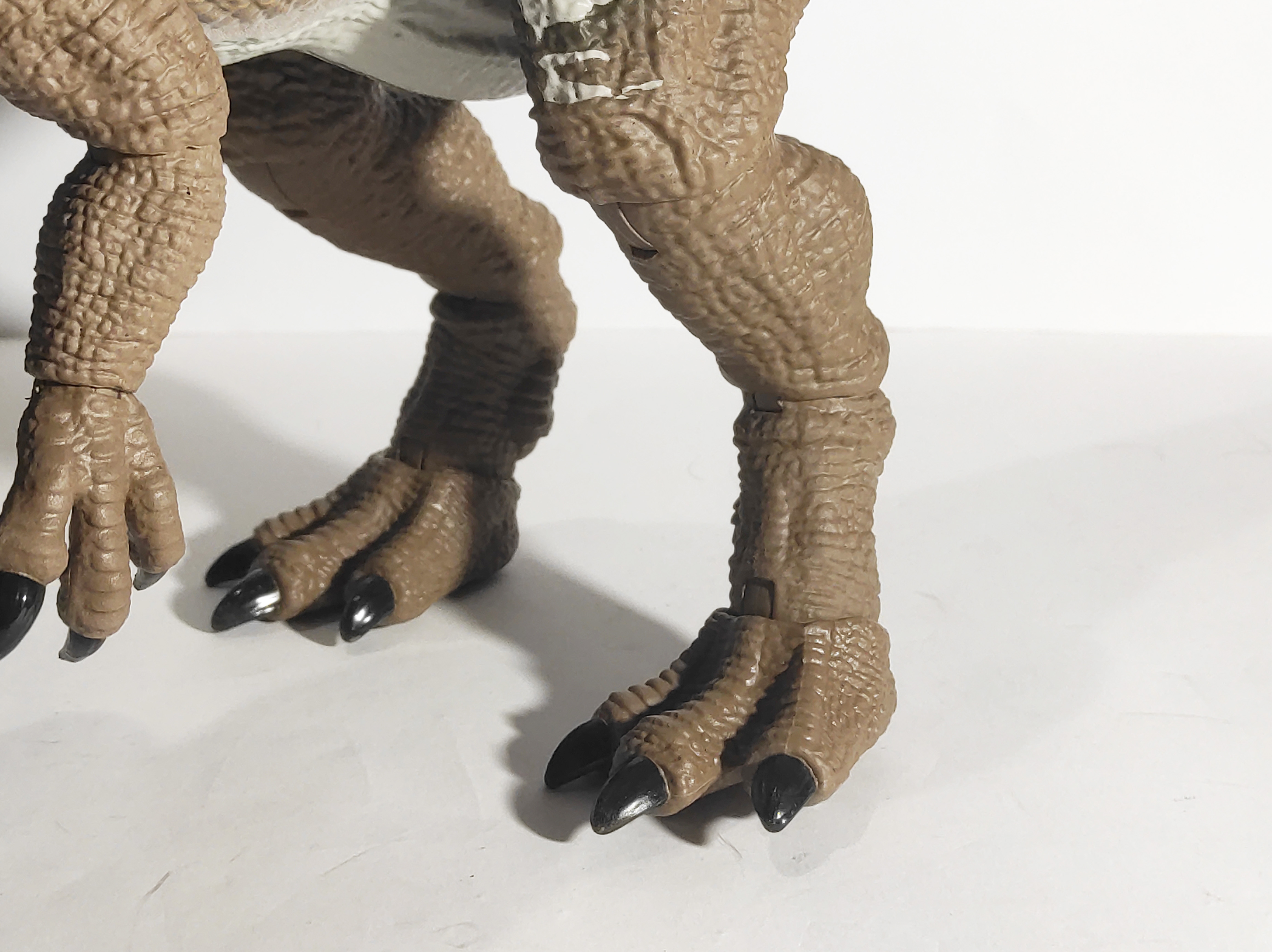 feet_12.jpg