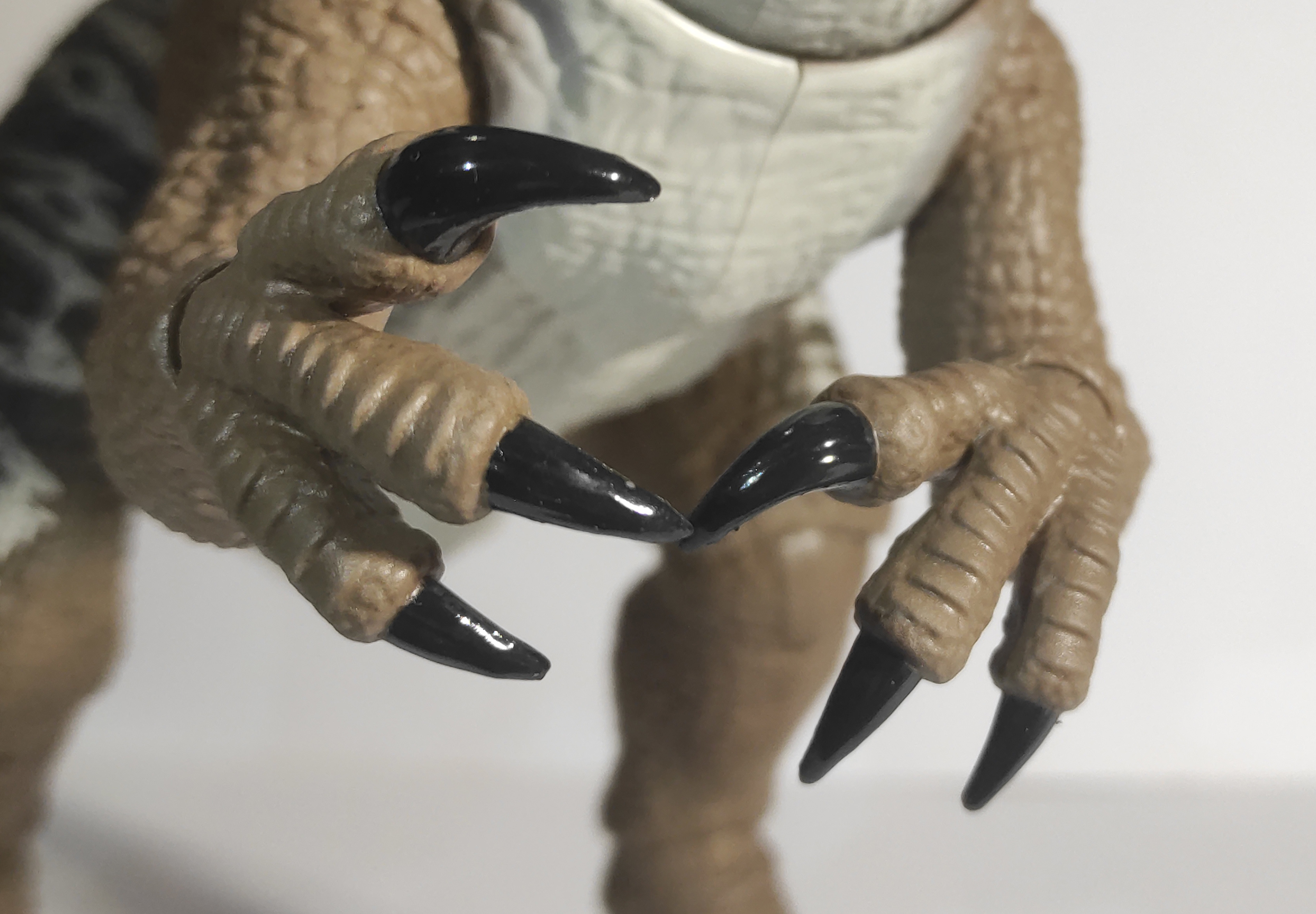 hand.jpg