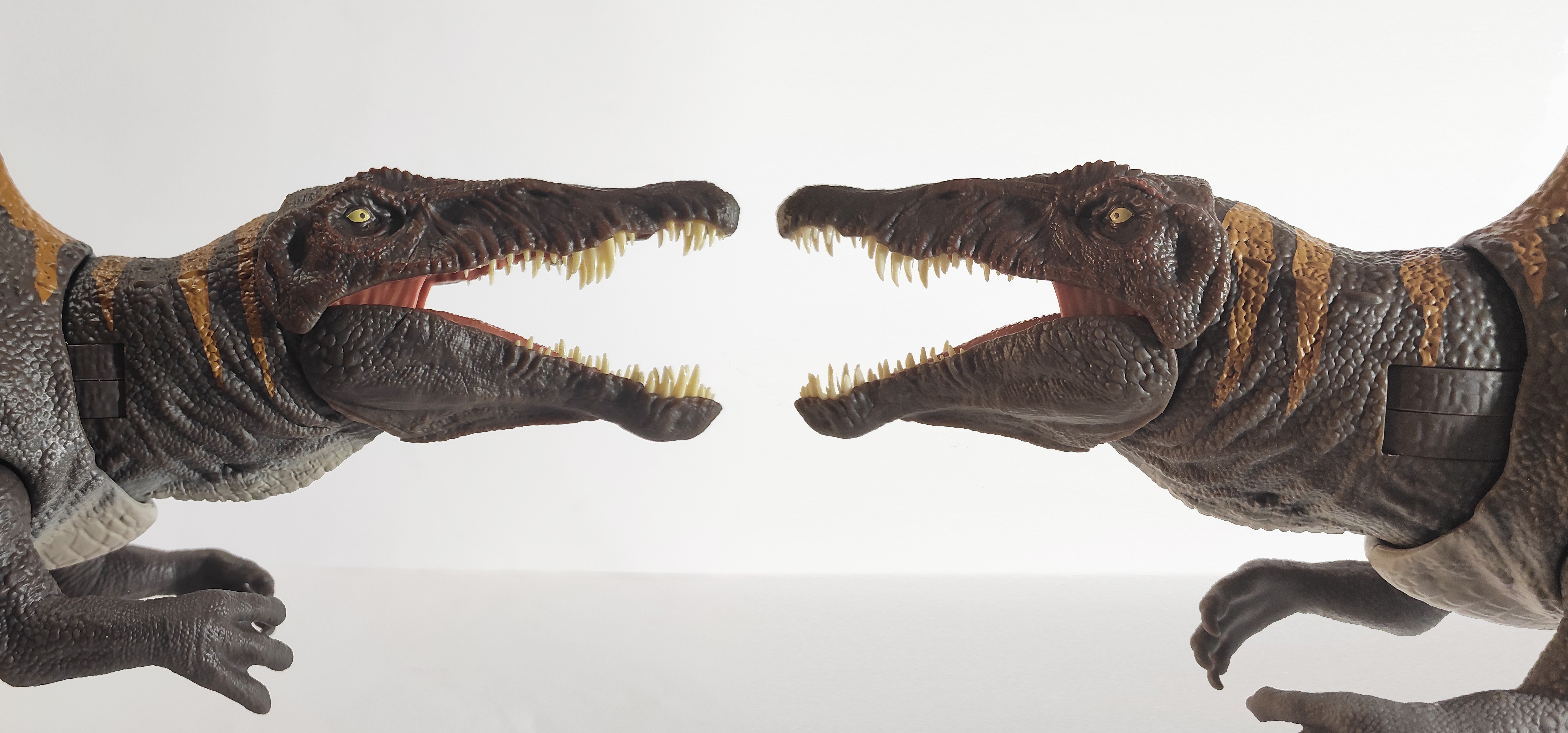 heads_1.jpg