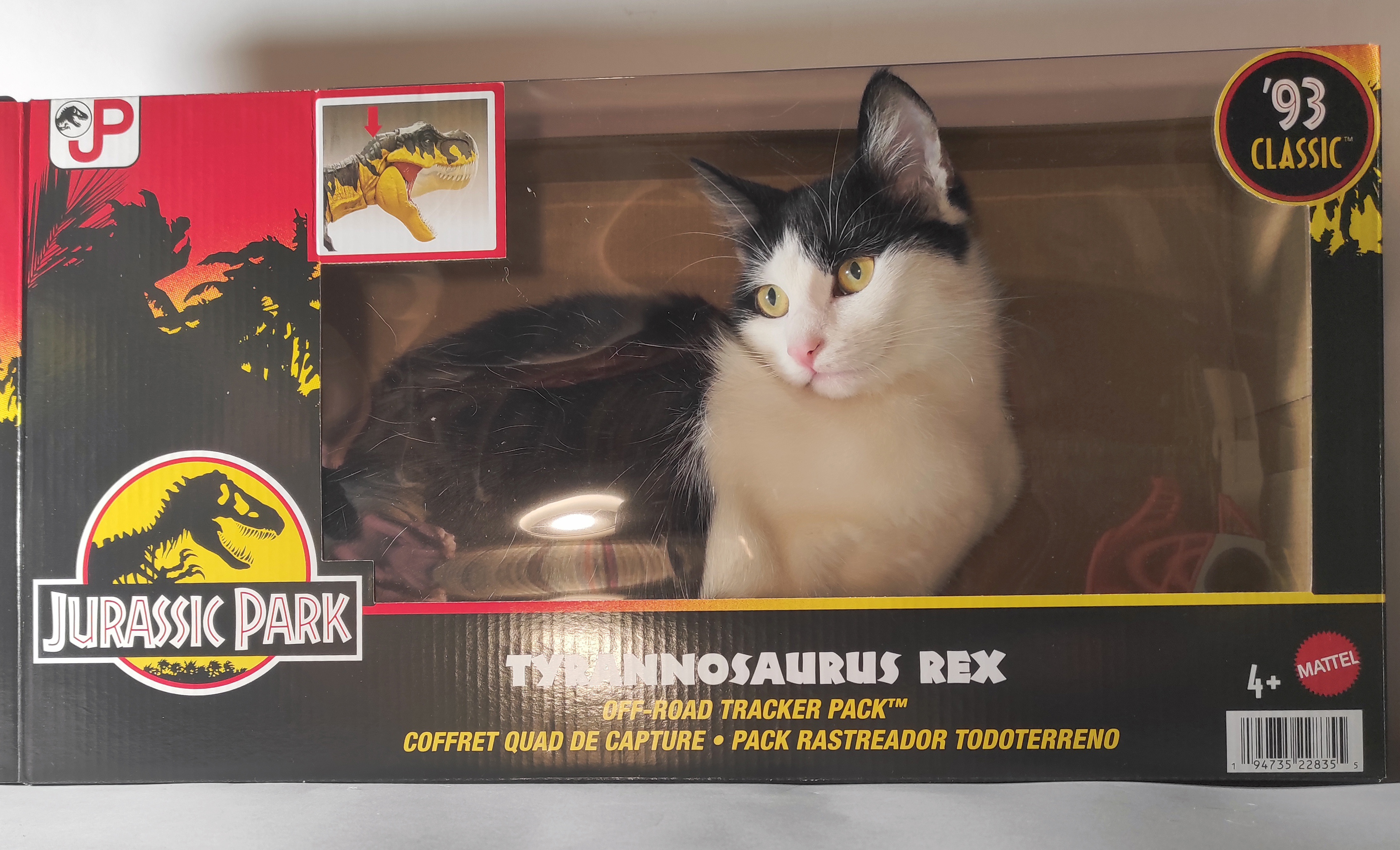 lucabox.jpg