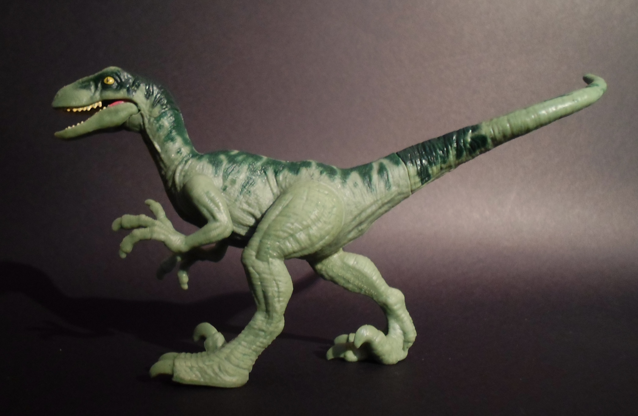Jurassic Newsworld Termékbemutató Velociraptor Charlie Jurassic Hungary 