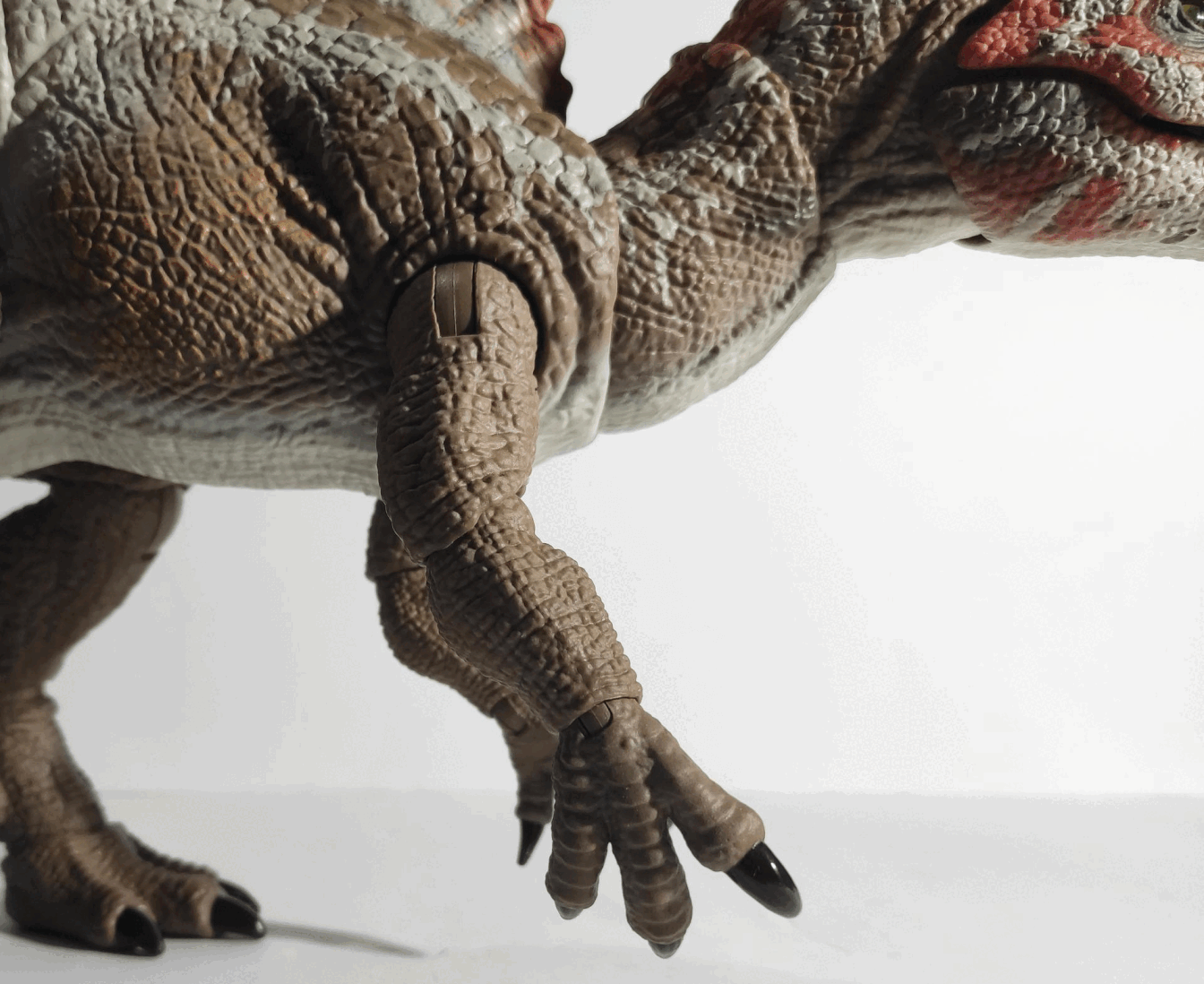 1handgif.gif