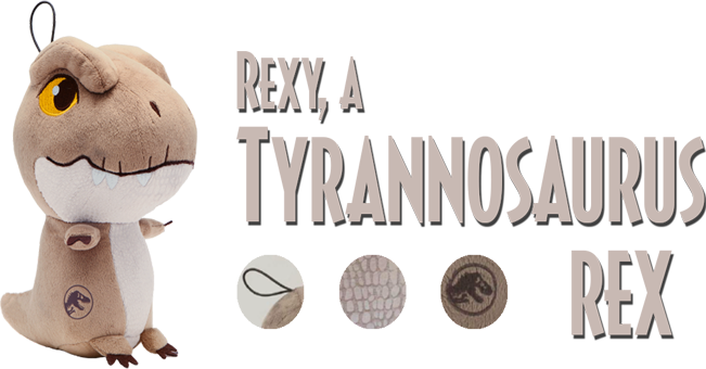 1rexy.png