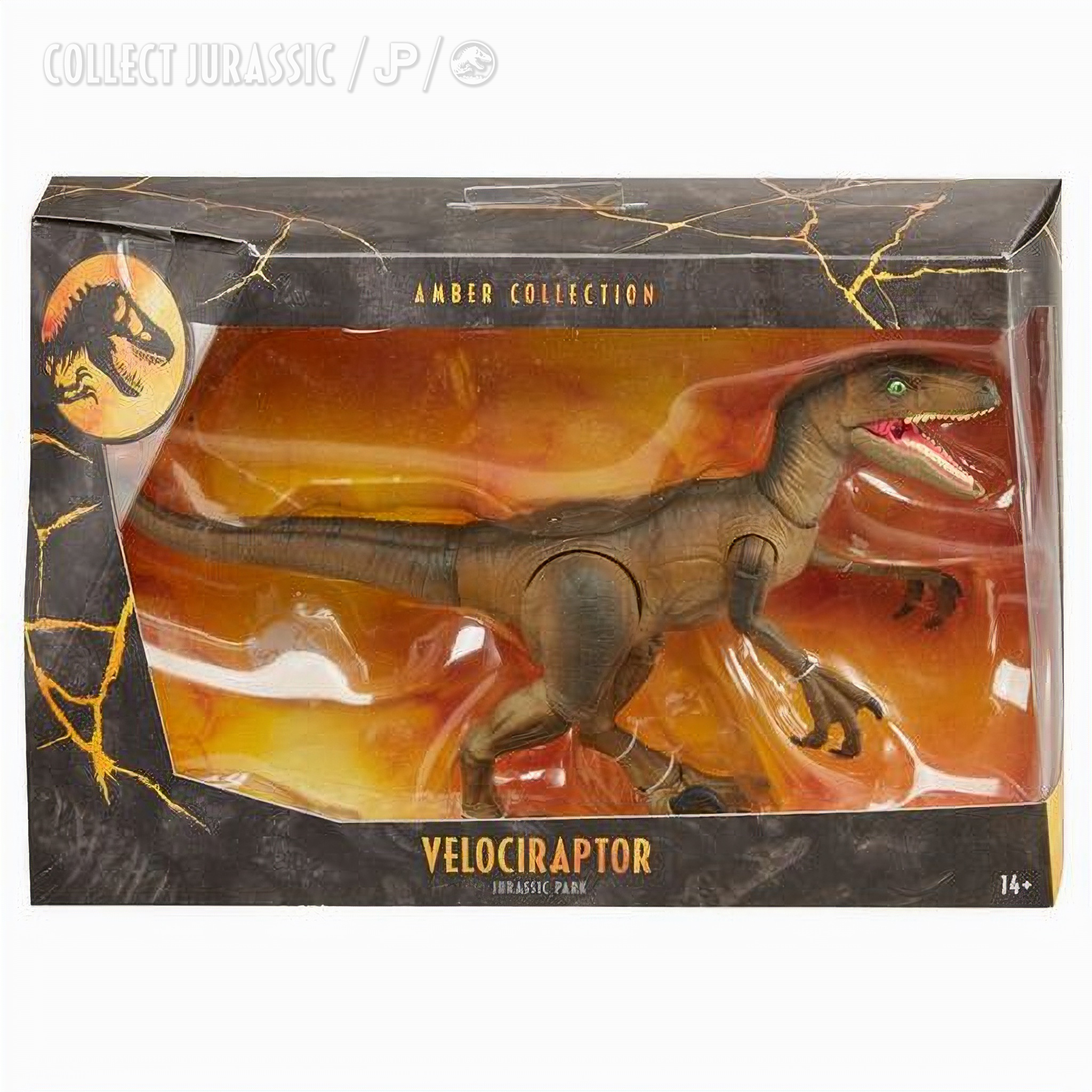 ambercollectionvelociraptor_upscaled_image_x4.jpg