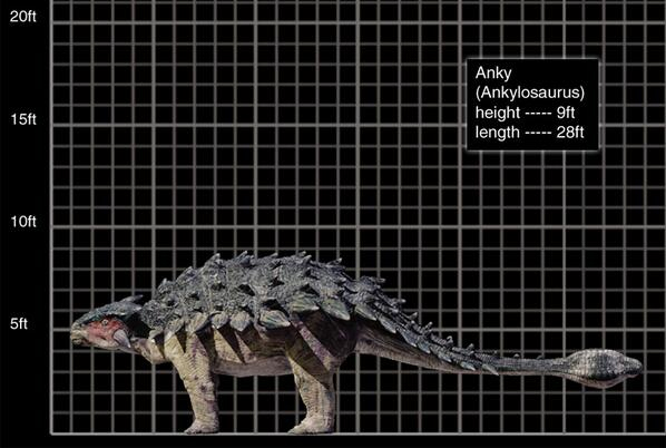 Az Ankylosaurus méreteit és színeit bemutató adatlap