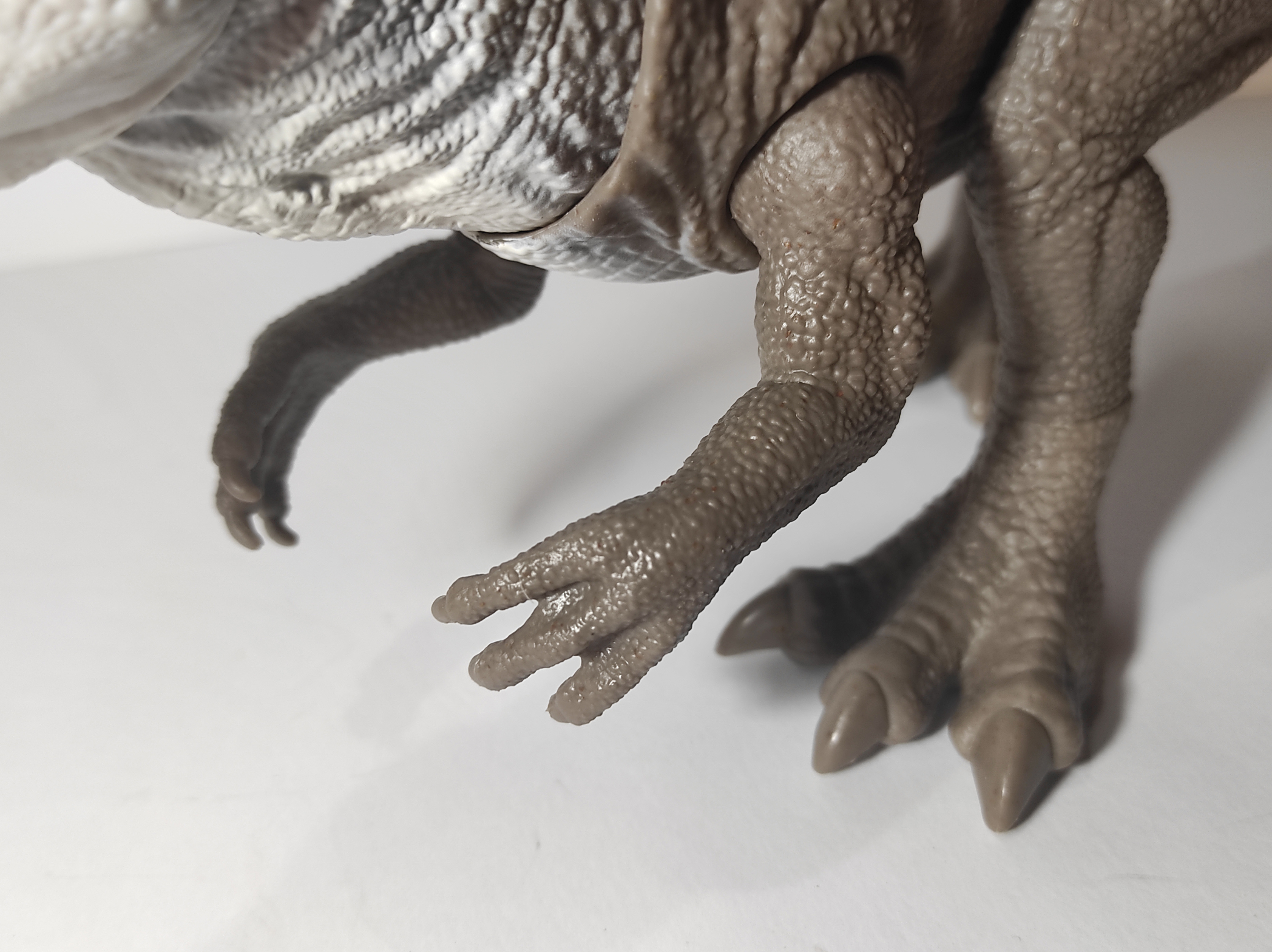 arm_9.jpg