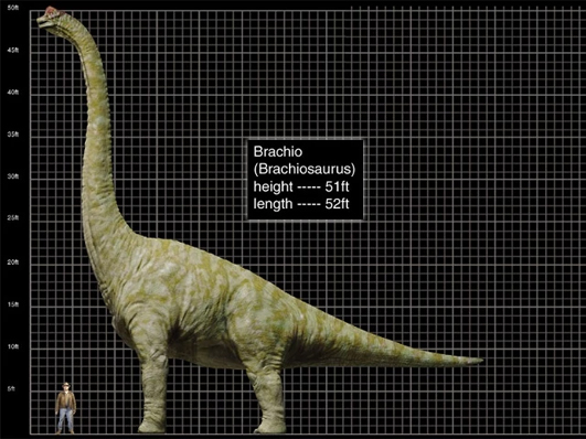 Az újraszínezett Brachiosaurus