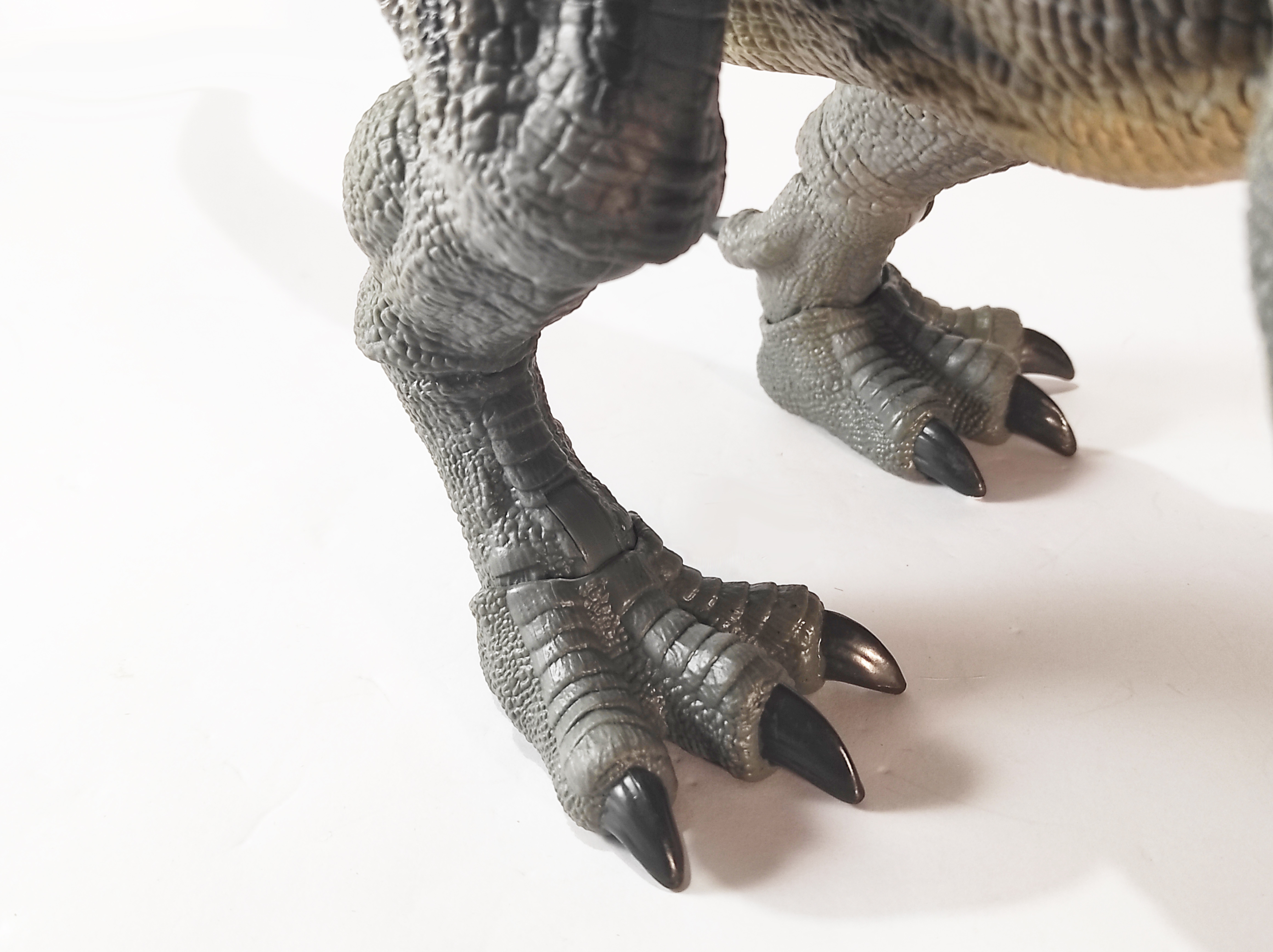feet_9.jpg