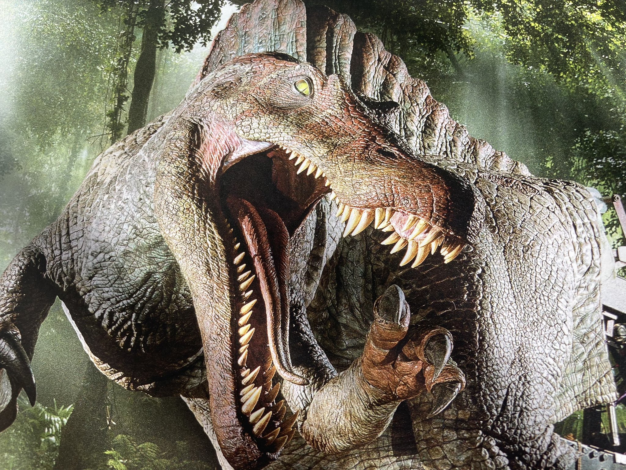 jp3spino1.jpg