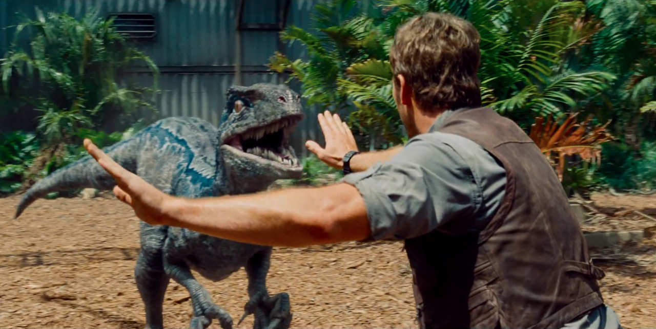 jw2015.png