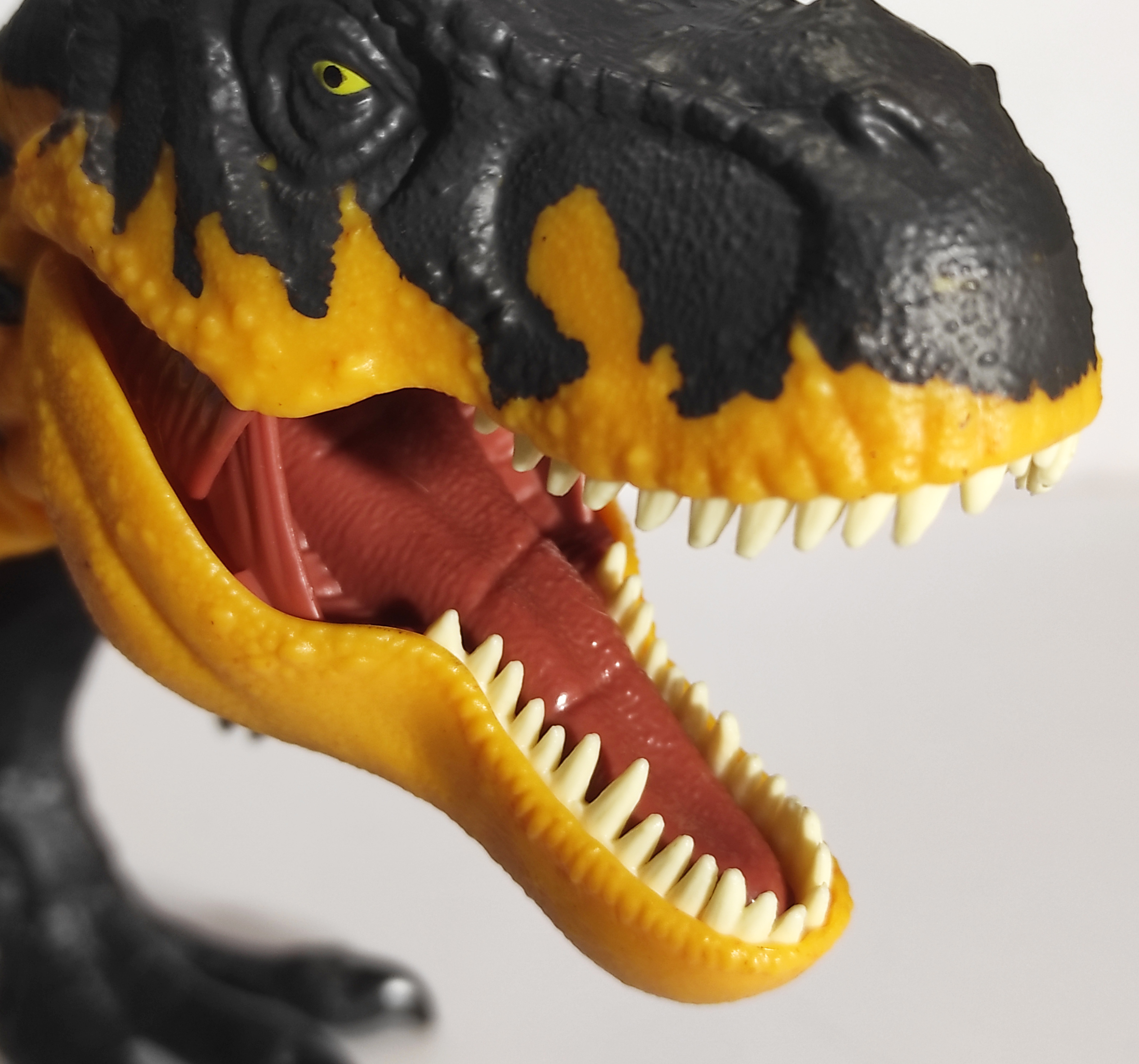 mouth_2.jpg