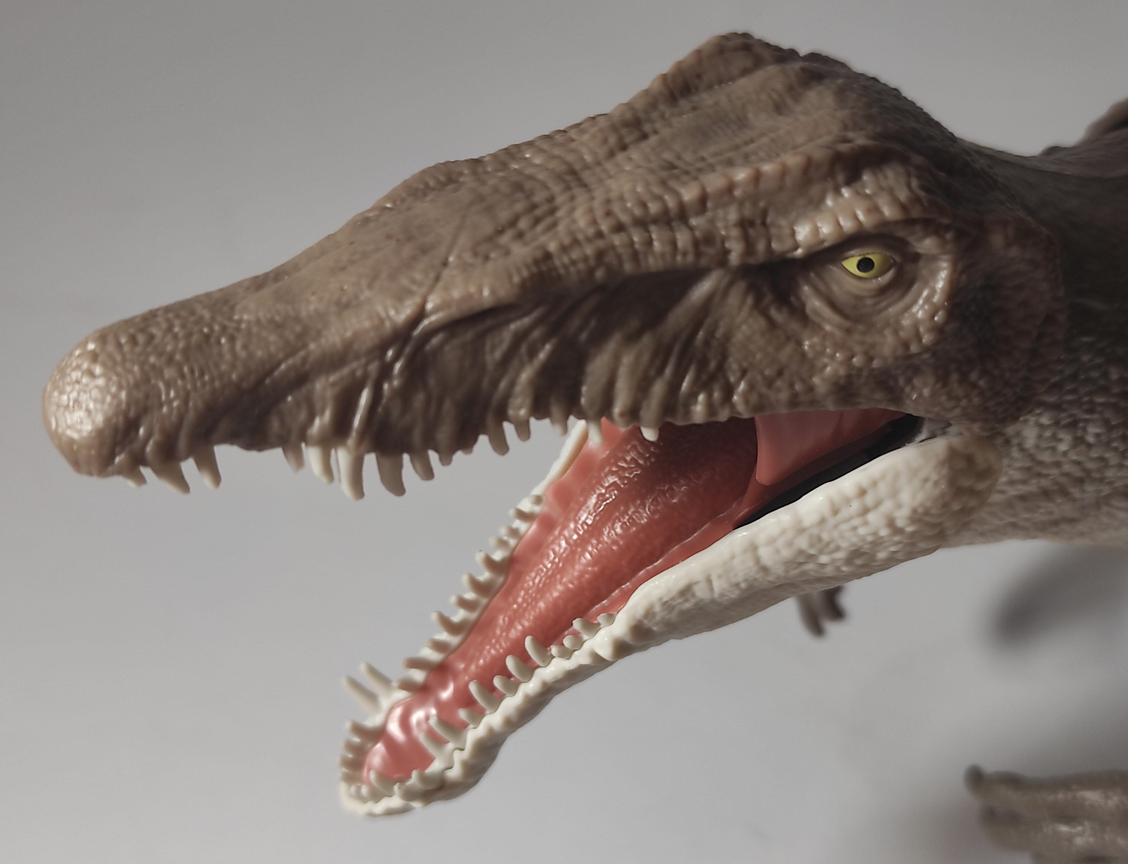 mouth_3.jpg