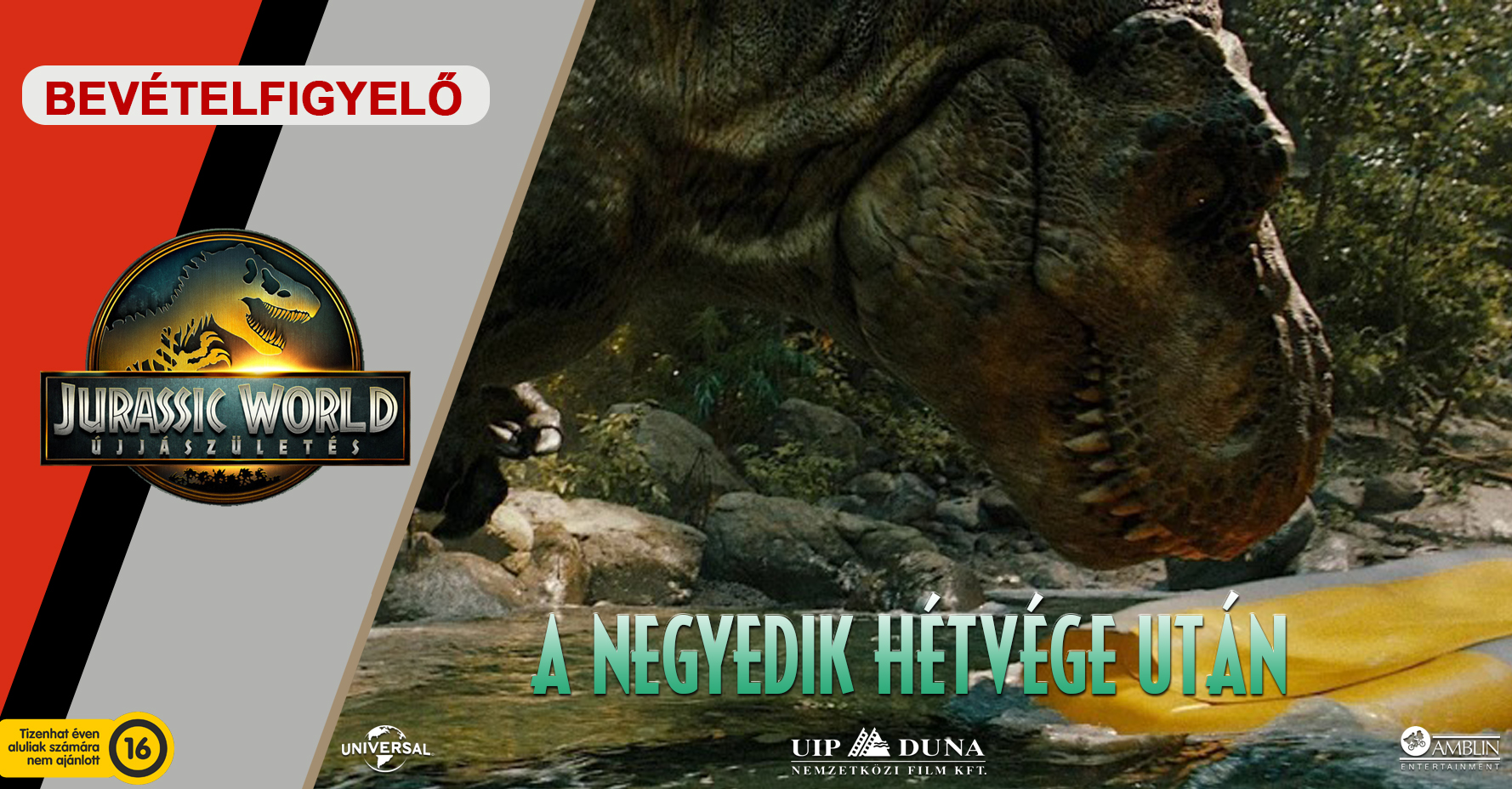negyedik.jpg