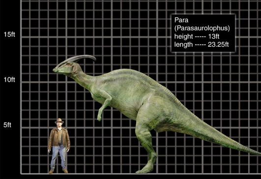 A Parasaurolophus adatlapján is új színezet látható, de a filmben közelebb állt a második részben használt design-hoz.