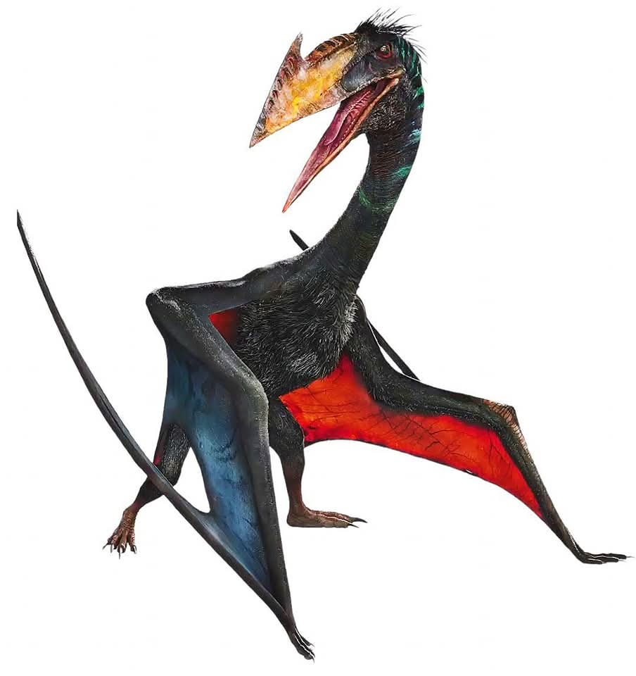 quetzal_4.jpg