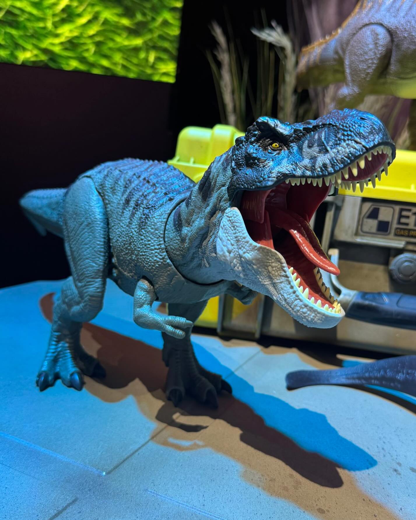 rex2_6.jpg