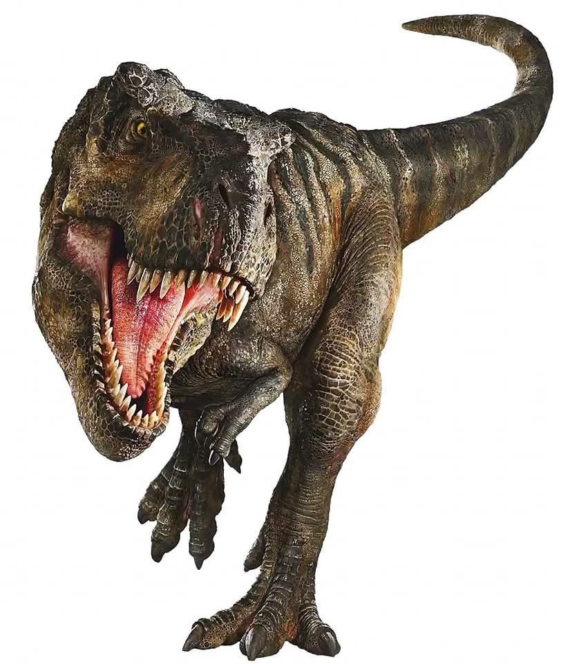 rex_5.jpg