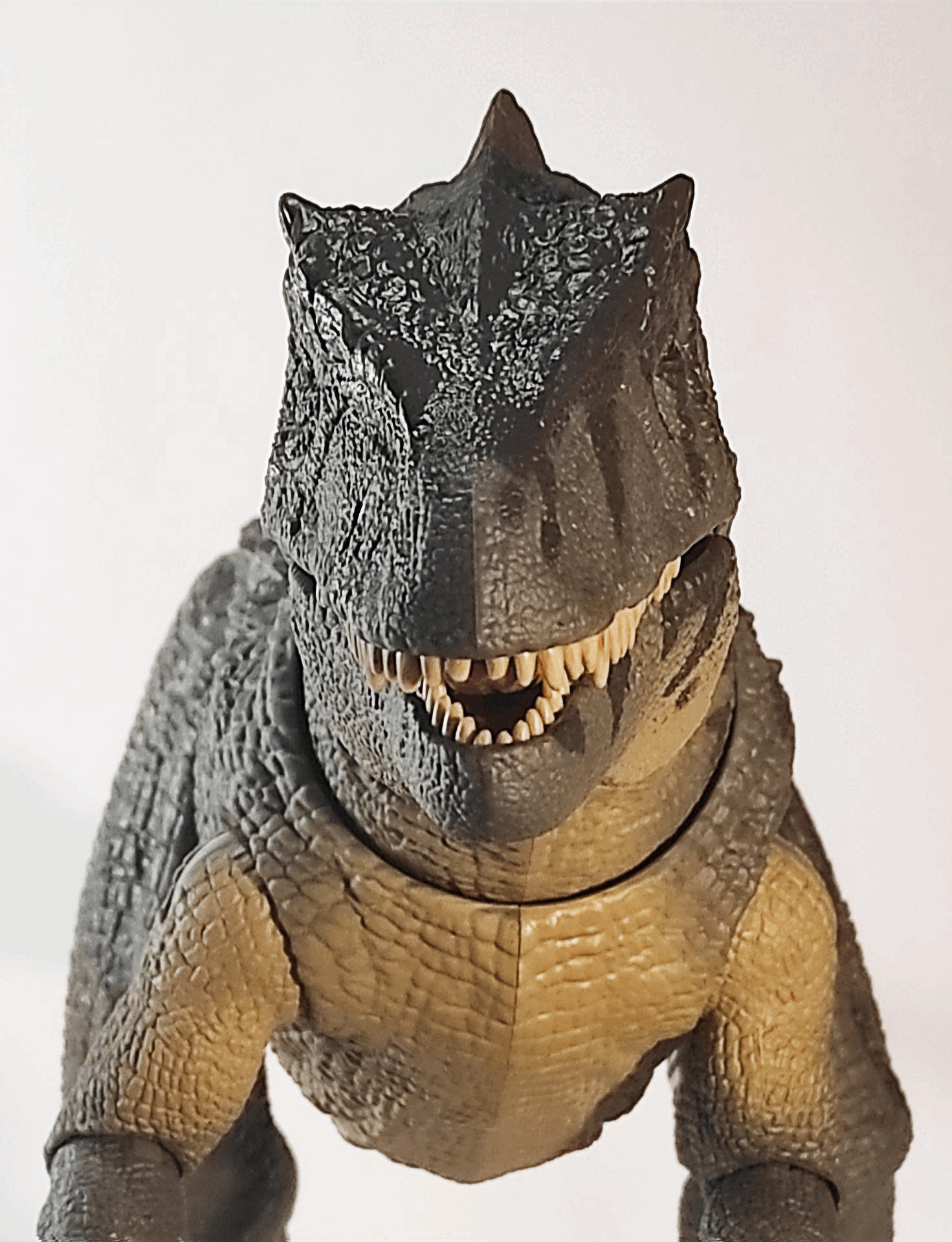 roar.gif