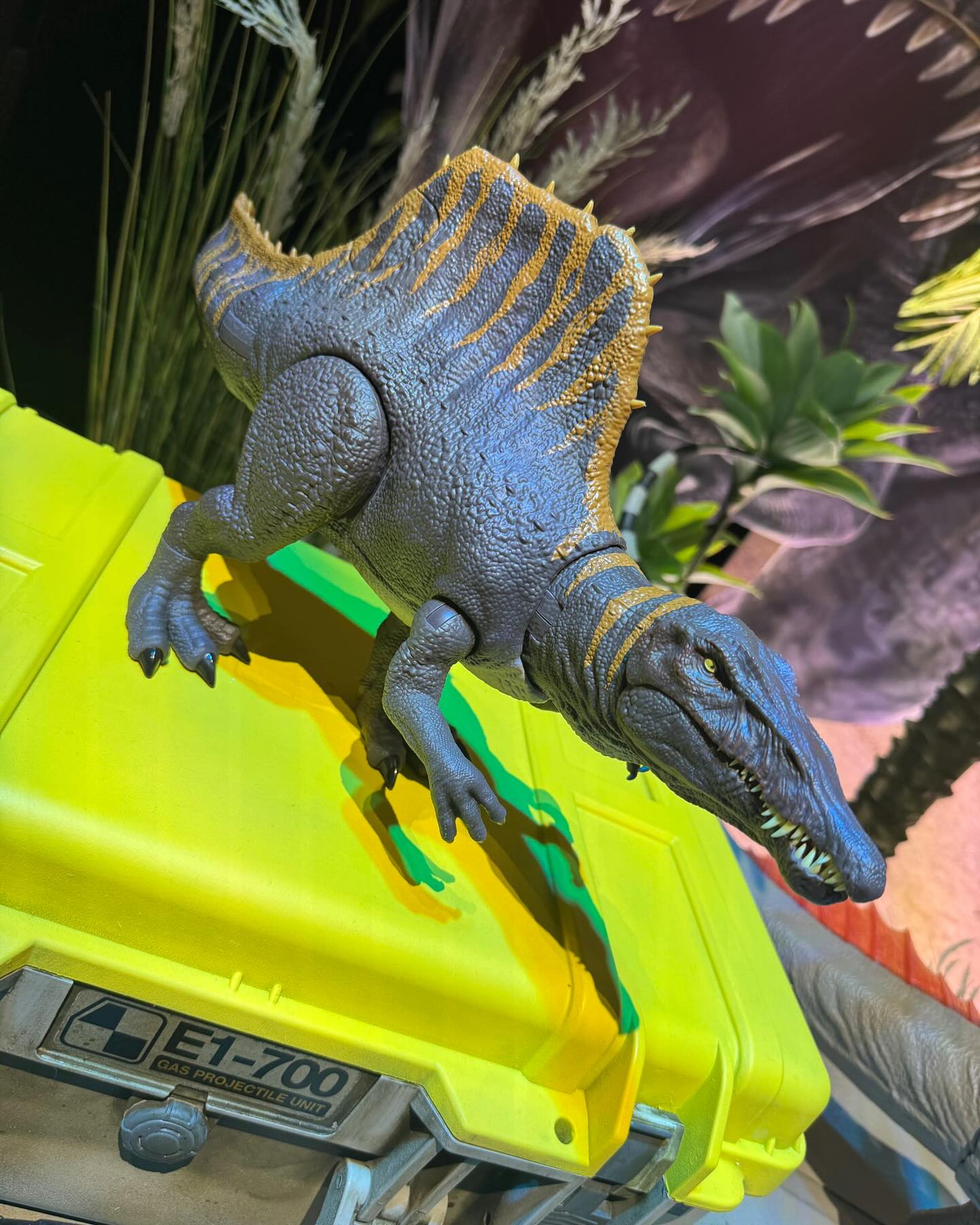 spino2_3.jpg