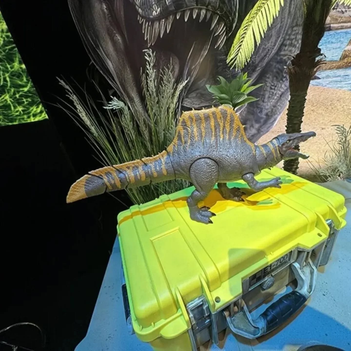 spino_7.jpg