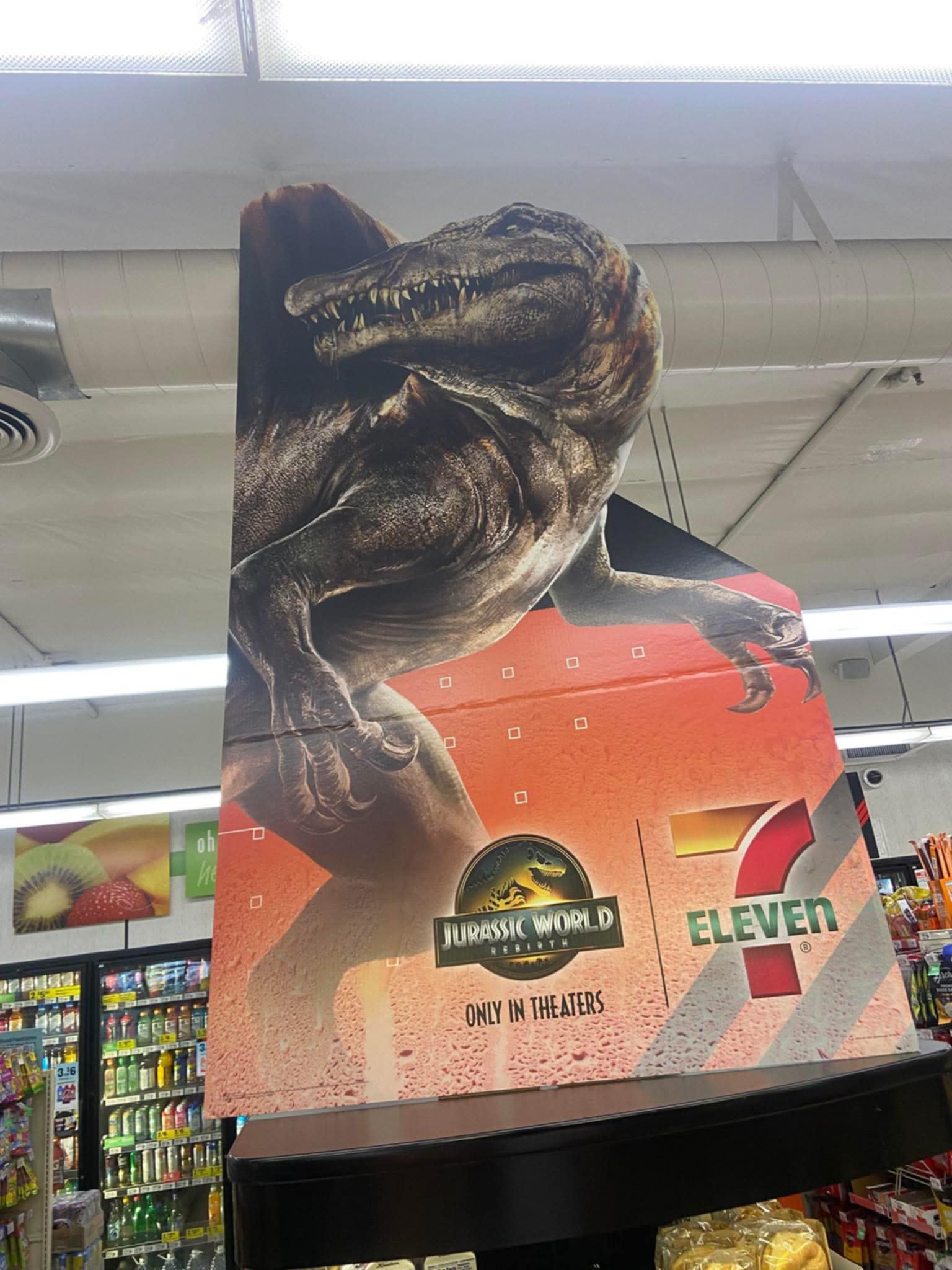 spino_9.jpg