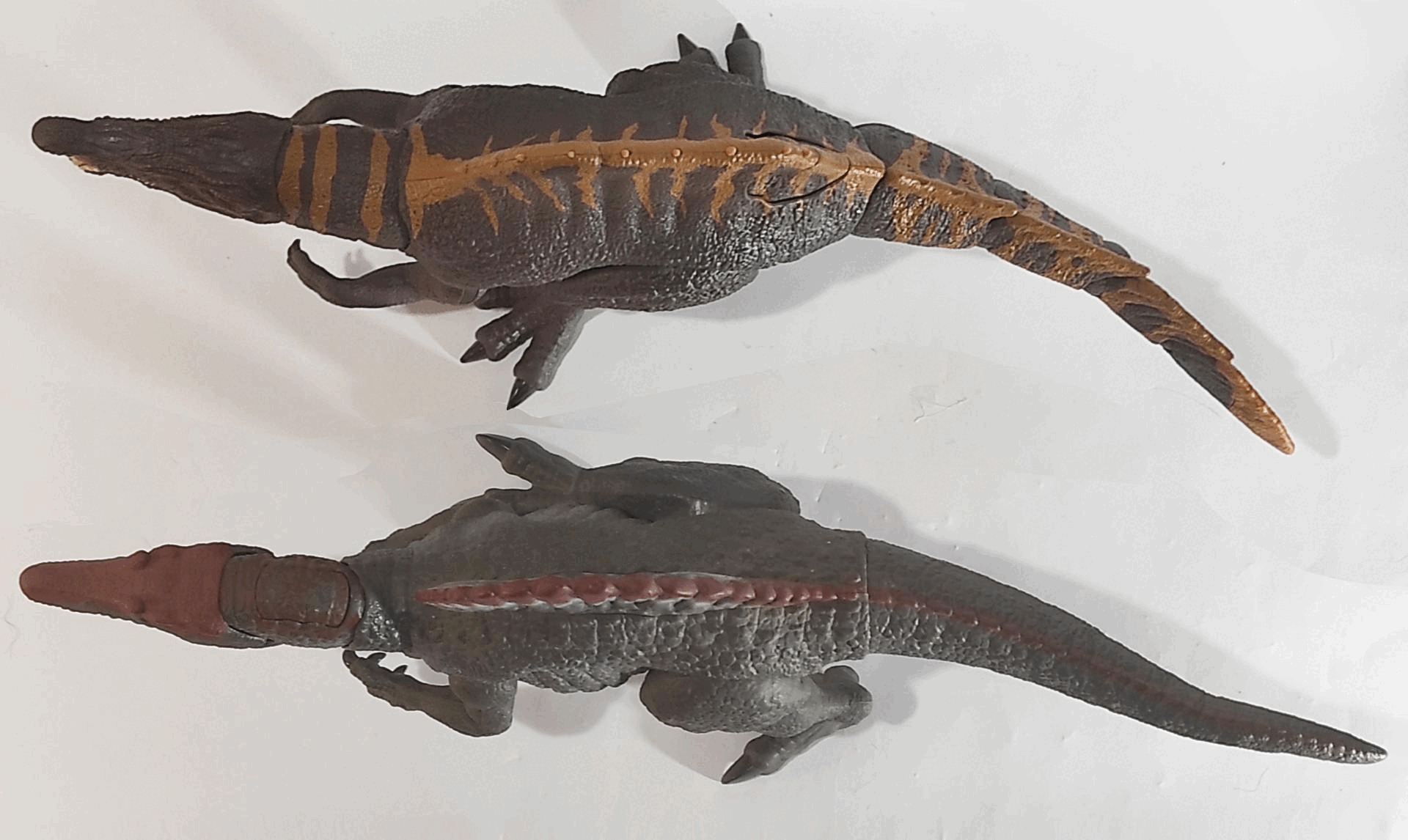 spinos.gif