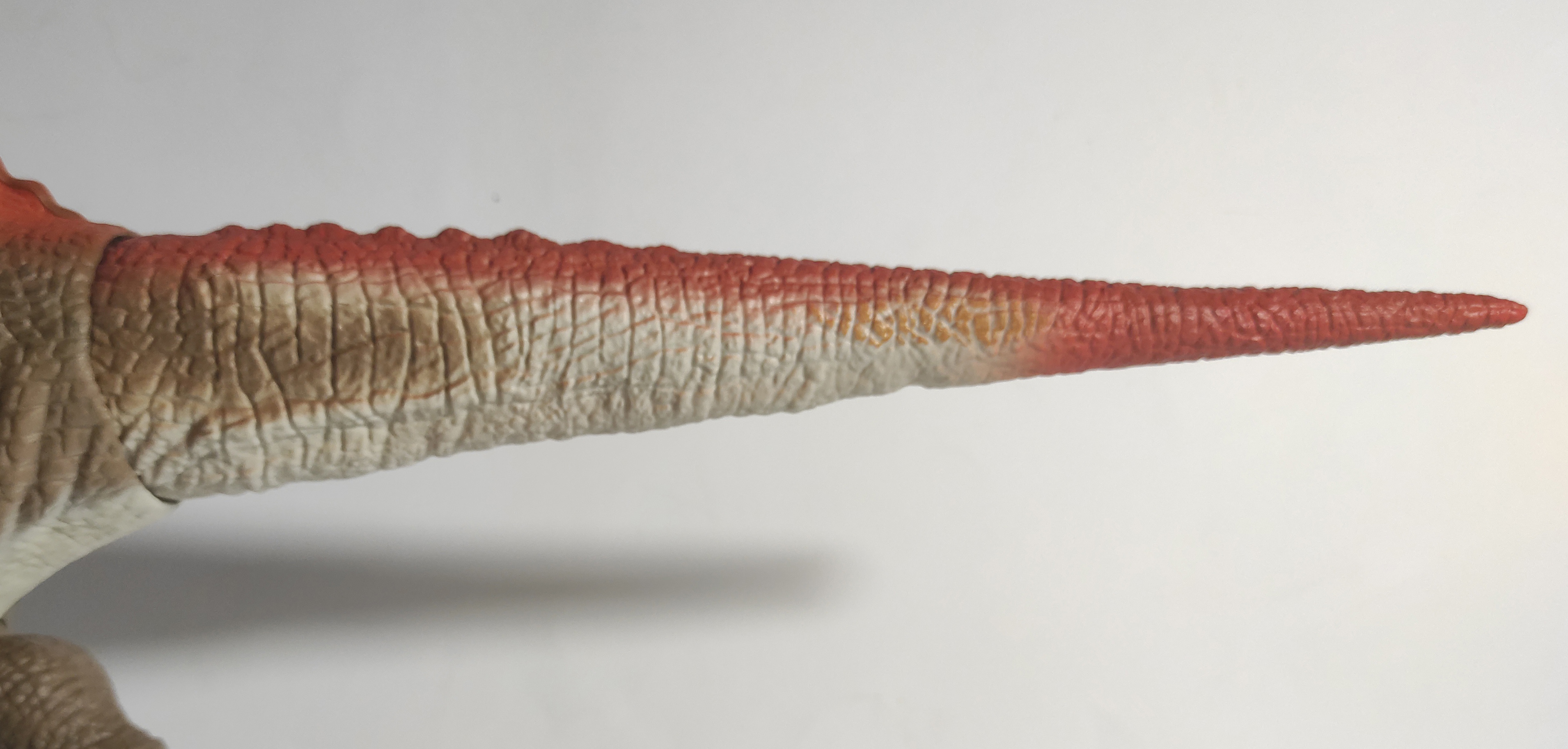 tail_8.jpg