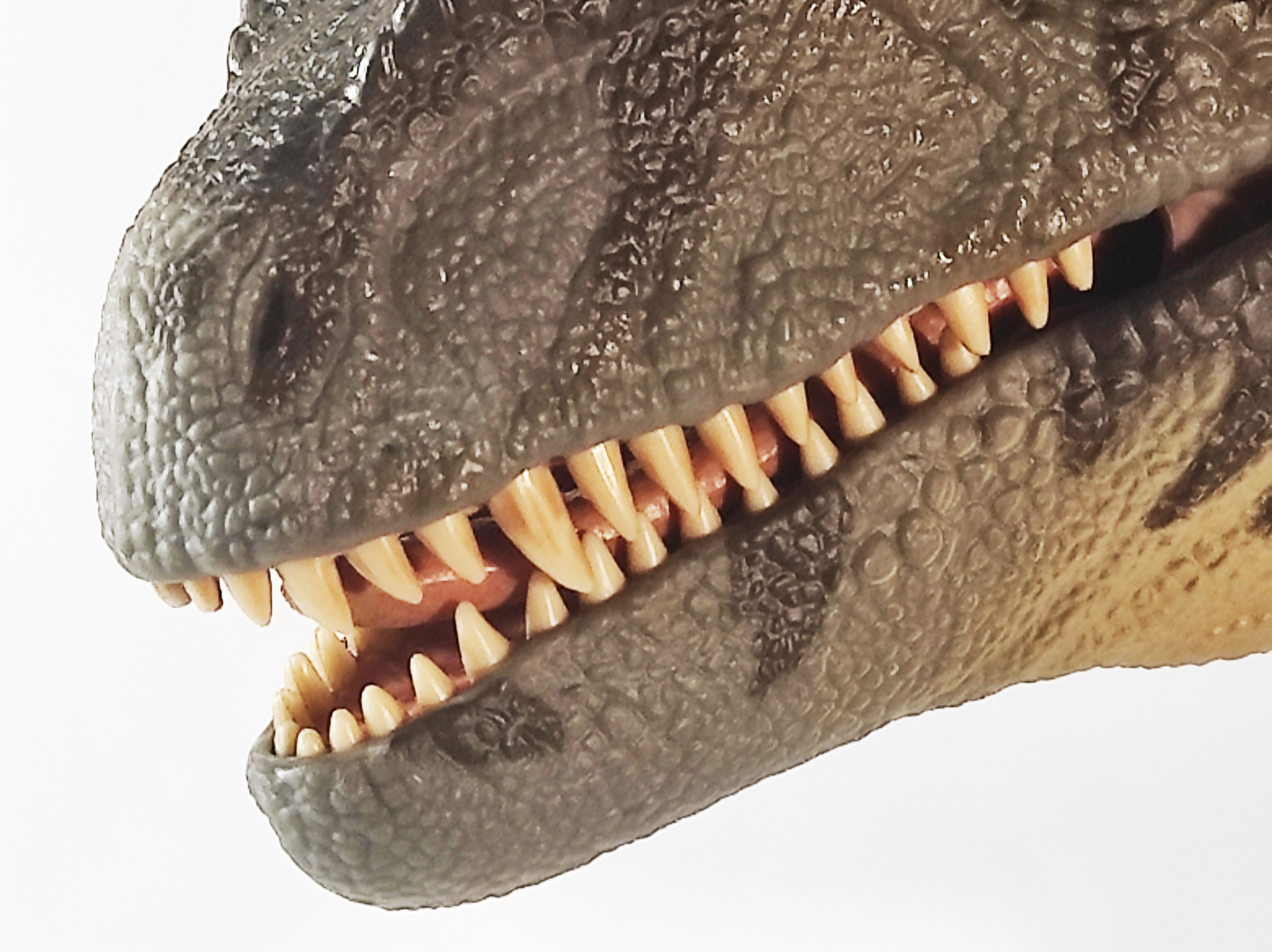 teeth.jpg