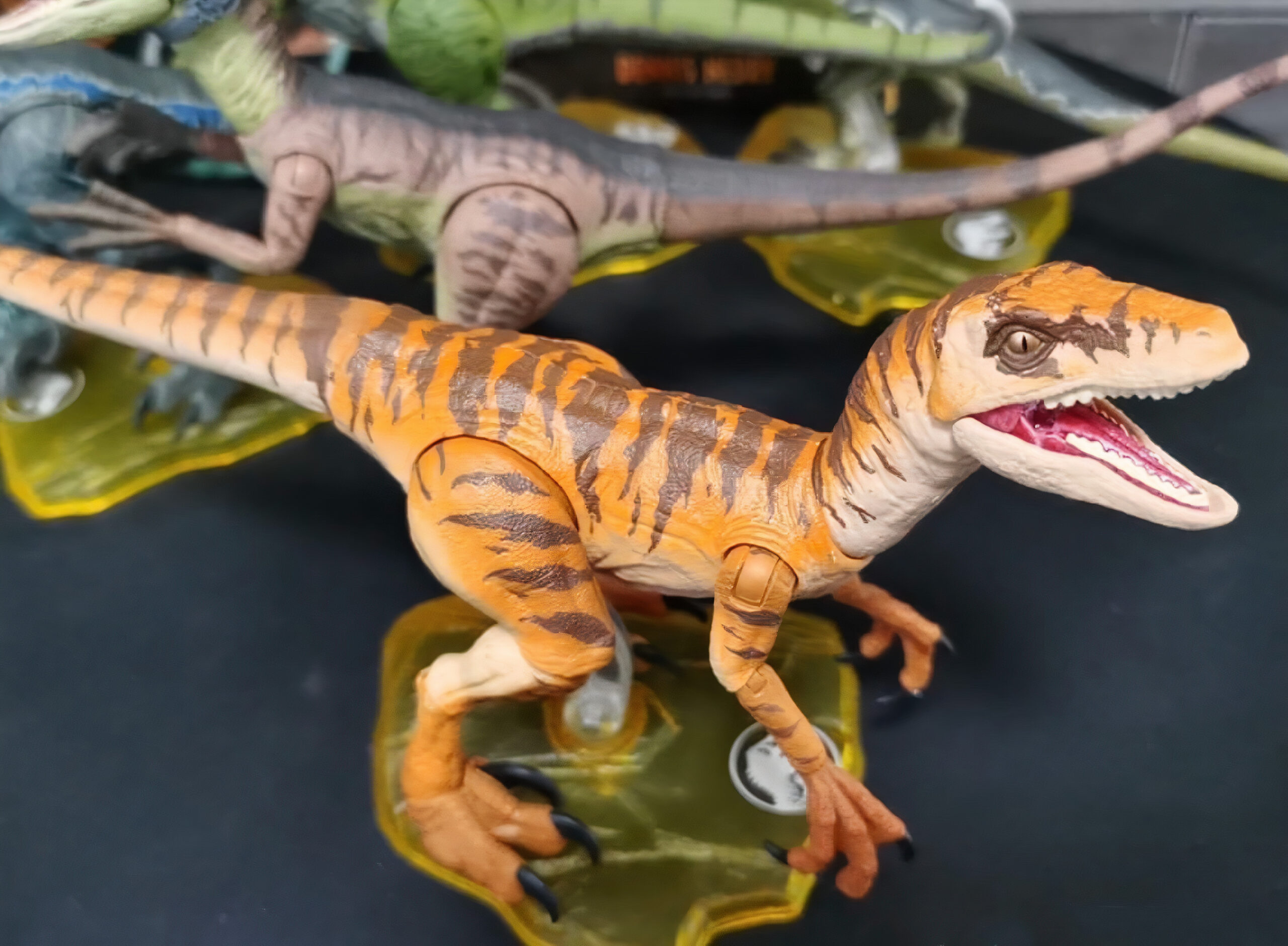 tigerraptor-scaled.jpg